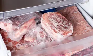 Dziczyzna a włośnica: Mrożenie to mit! Tylko badanie daje pewność